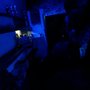Photo of Luna Bar