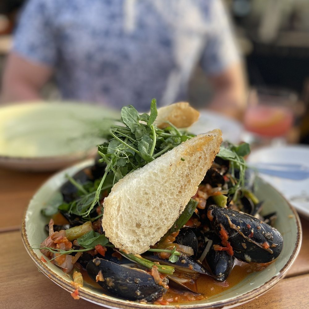 Gypsy Kitchen - PEI Mussels - Spanish Near Me - Atlanta, Georgia Gypsy Kitchen - PEI Mussels - Spanish Near Me - Atlanta, Georgia