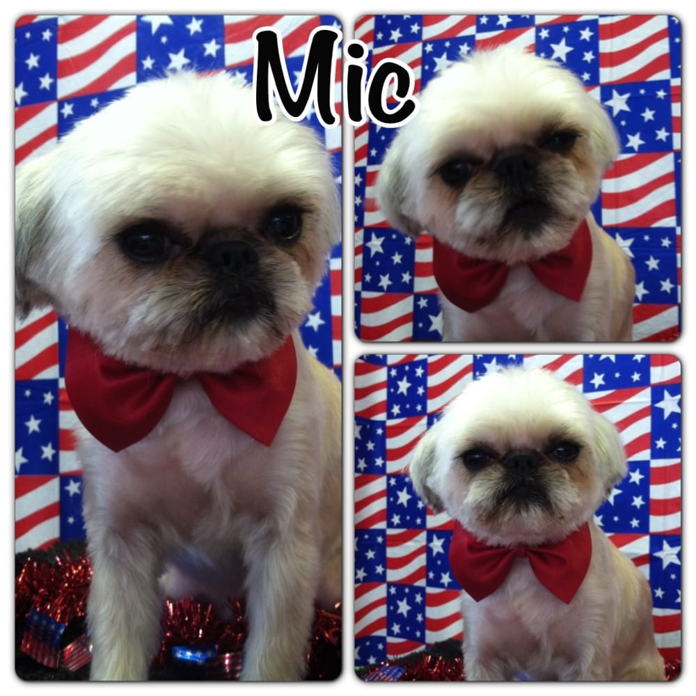 FANCY PAWS Updated October 2024 1209 W 26th St, Sioux City, Iowa