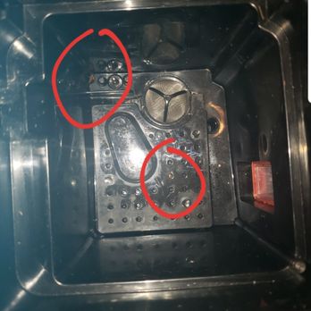 Palm Gate Apartments - My coffee maker infested with roaches - Apartments Near Me - South Gate, California Palm Gate Apartments - My coffee maker infested with roaches - Apartments Near Me - South Gate, California