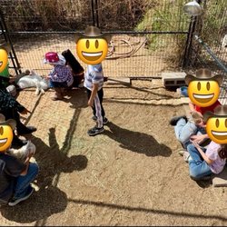 TRAK - Therapeutic Ranch For Animals and Kids - The most popular enclosure at the birthday party: Chickens and Rabbits