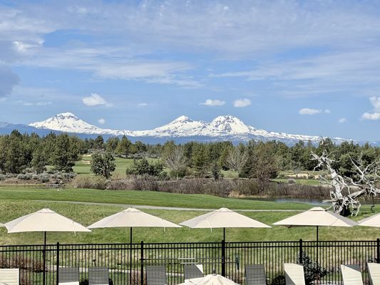 Juniper Preserve by null