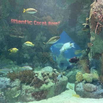 ABQ BioPark Aquarium - Aquariums Near Me - Albuquerque, New Mexico