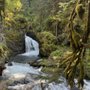 Photo of Virgin Creek Falls