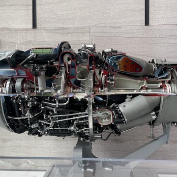 Smithsonian - Amazing cut away! - Museums Near Me - Washington, DC, District of Columbia
