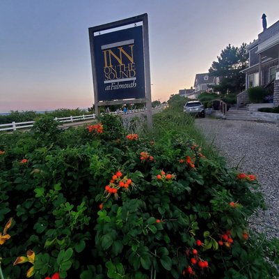 Inn on the Sound at Falmouth by null