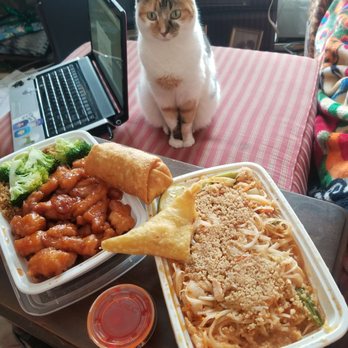 China Inn - First look at the China Inn delivery. General Taos combo, crab Rangoon, and chicken Pad Thai. Lulu approves. - Chinese Near Me - Warwick, Rhode Island