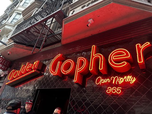 Golden Gopher by null