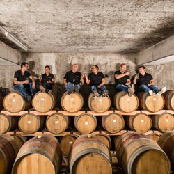 Weingut Studier - Unser Team, ganz in ihrem Element!