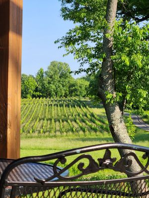 The Vineyards at Dodon by null