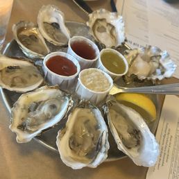 Oysters Oysters
