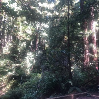 Purisima Creek Trail - Hiking Near Me - Half Moon Bay, California Purisima Creek Trail - Hiking Near Me - Half Moon Bay, California