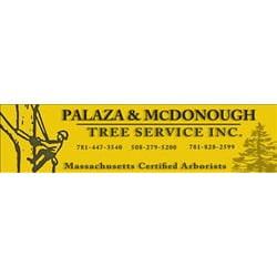 Palaza & McDonough Tree Service