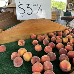 Sodaro Orchards - All that's left.. sold out at 10 an