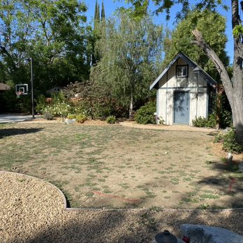 Greenview Turf - We couldn't decide if we should go with seed or sod. What we really wanted was no maintenance, year-round green without watering. - Artificial Turf Near Me - Northridge, California