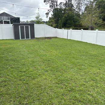 First Choice Tree Service & More - Rear palm tree gone!! Great work - Tree Services Near Me First Choice Tree Service & More - Rear palm tree gone!! Great work - Tree Services Near Me