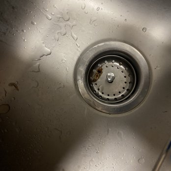 Avion Apartments  - Dead roach in the kitchen sink - self explanatory lol - Apartments Near Me - Rancho Cordova, California