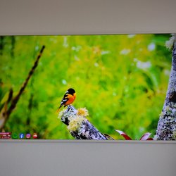 ACA Electronics - Samsung Frame 75 inch installation