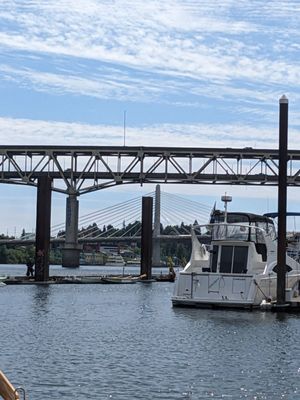 Tom McCall Waterfront Park by null