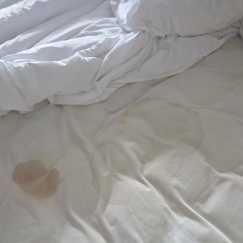 Quality Inn - Stains on bedding and mattress! - Hotels Near Me - Kingston Springs, Tennessee Quality Inn - Stains on bedding and mattress! - Hotels Near Me - Kingston Springs, Tennessee