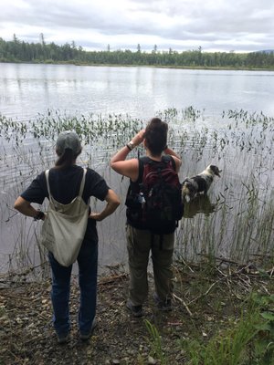 100 Mile Wilderness Adventures by null