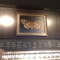 Meddlesome Moth - Moth photo over bar area. Tons of beer on tap.