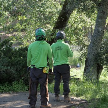Von Greiff Tree Care - Tree Services Near Me