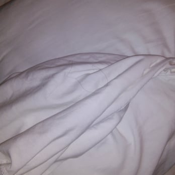 Motel 6 - Hair in the bedding - Hotels Near Me - Flagstaff, Arizona Motel 6 - Hair in the bedding - Hotels Near Me - Flagstaff, Arizona