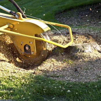 Rojas Chops Tree Service - Tree Services Near Me - Cincinnati, Ohio