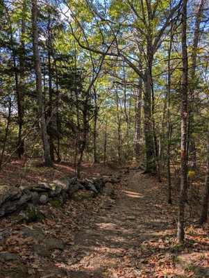 Bradbury Mountain State Park by null