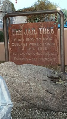 The Jail Tree by null