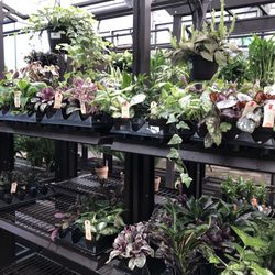 Lowe's Home Improvement