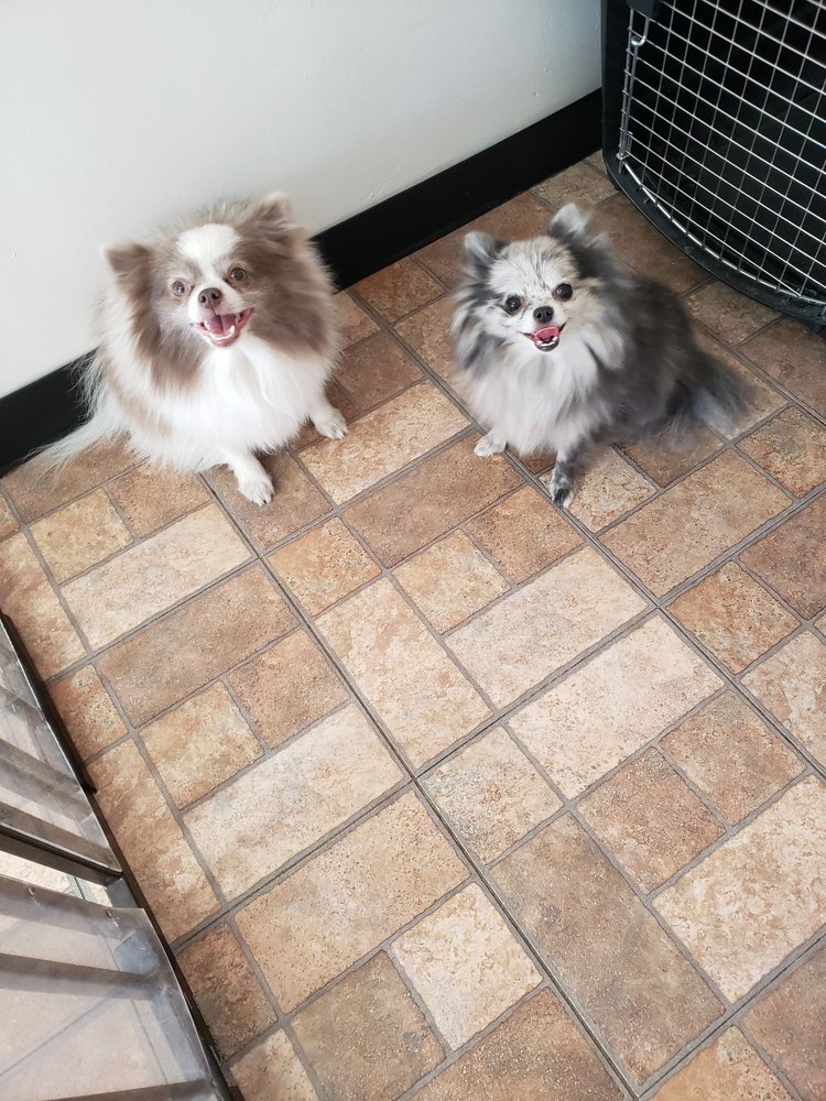 THE DOG HOUSE PET SALON 30 Photos & 24 Reviews 22249 S Ellsworth Rd, Queen Creek, Arizona