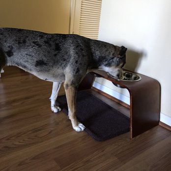 whole pet essentials