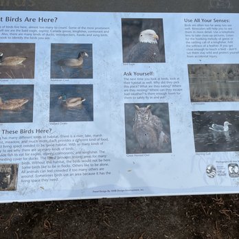 Friends Landing - Sign about birds - Campgrounds Near Me - Montesano, Washington Friends Landing - Sign about birds - Campgrounds Near Me - Montesano, Washington