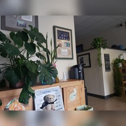Ron Bittle, DC - The Santa Clarita Chiropractor - Beautiful office space! #miracle #chiropractor #1 #chiro #chiropracticcare #yuuto #bear #nomorepain #mortimerthebear
