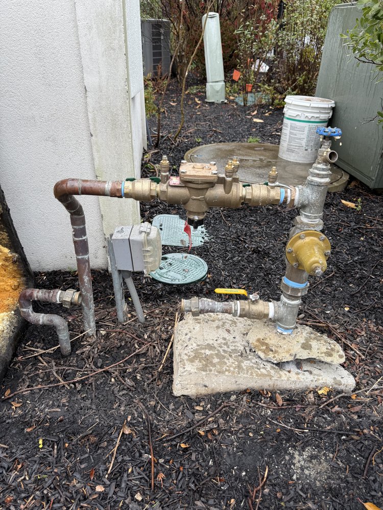 Slide of Guardian Backflow Testing