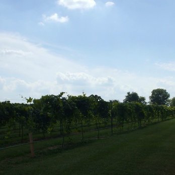 The White Mule - A view from their beautiful vineyards. - Bed & Breakfast Near Me - Owensville, Missouri The White Mule - A view from their beautiful vineyards. - Bed & Breakfast Near Me - Owensville, Missouri