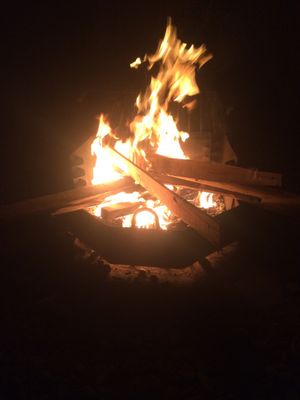 Navajo Lake State Park - Pine Campground by null