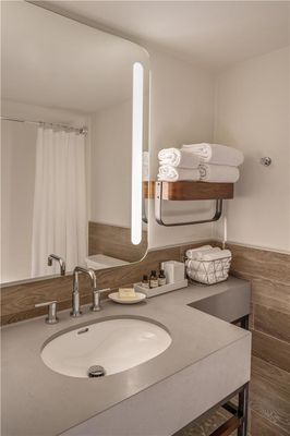 The Wildbirch Hotel - JDV by Hyatt by null