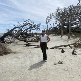Driftwood Beach - Beaches Near Me - Jekyll Island, Georgia Driftwood Beach - Beaches Near Me - Jekyll Island, Georgia