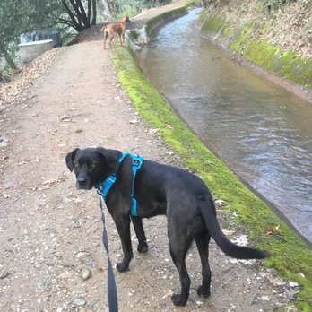 Lucky Hounds Dog Boarding - Walk along the canal - Pet Sitting Near Me - Colfax, California Lucky Hounds Dog Boarding - Walk along the canal - Pet Sitting Near Me - Colfax, California