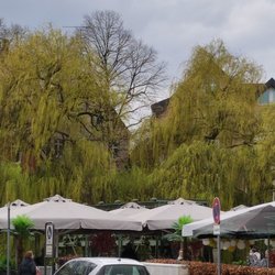 Backnanger Straßenfest - Das alles wird dann zum festivalgelände