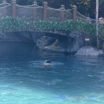 Aston Kaanapali Shores - Swimming pool - Hotels Near Me - Lahaina, Hawaii