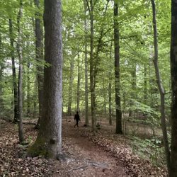 RibbonWalk Nature Preserve