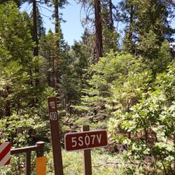 Chilkoot Campground