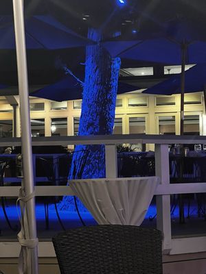 The Snapper Inn by null