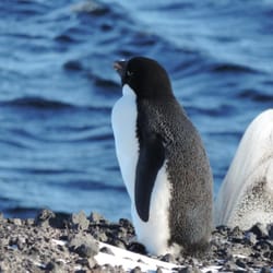 Deale Plumbing – Pensacola Plumber