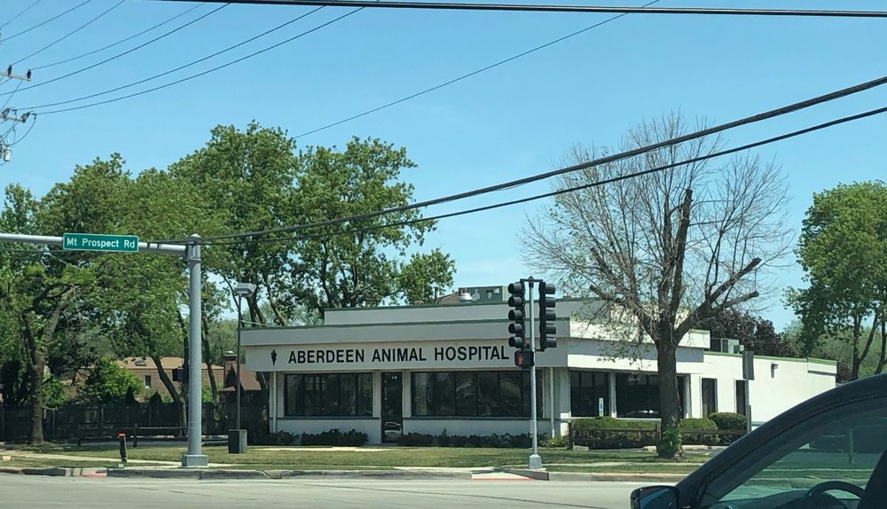 ABERDEEN ANIMAL HOSPITAL Updated August 2024 20 Reviews 11 E Golf