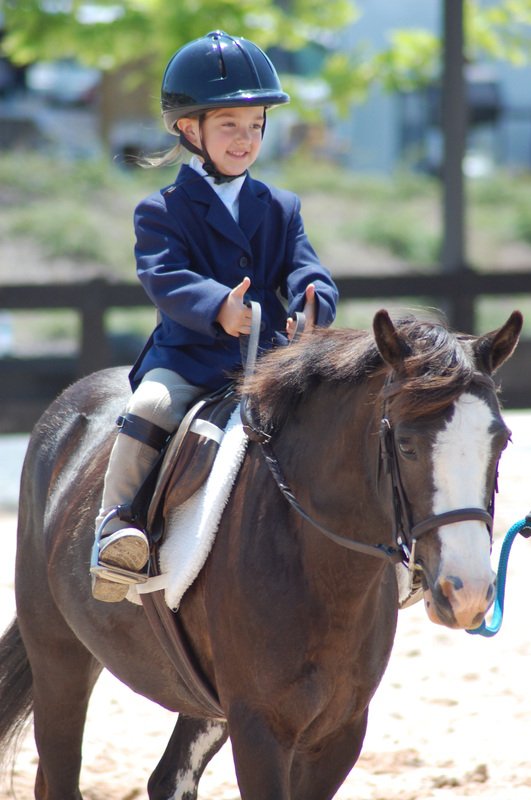 Mechums View Farm - equestrian in Charlottesville, VA